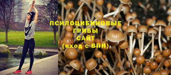 ALPHA PVP Баксан